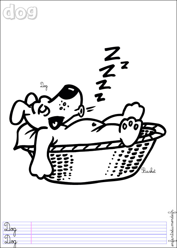 coloriage chien 3